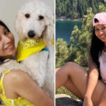 woman-survives-car-crash-—-then-gets-mowed-down-trying-to-save-dog-that-ran-onto-highway