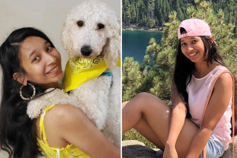 woman-survives-car-crash-—-then-gets-mowed-down-trying-to-save-dog-that-ran-onto-highway