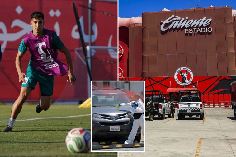 horrifying-discovery-outside-iranian-world-cup-team’s-training-ground-in-tijuana