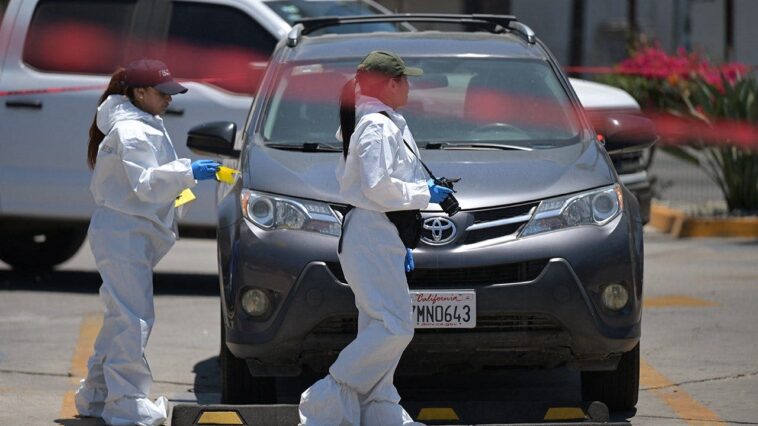 mexican-authorities-discover-body-in-trunk-near-iranian-soccer-team’s-world-cup-training-grounds:-report