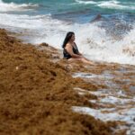 record-seaweed-invasion-leaves-beachgoers-gagging-as-fumes-raise-health-fears