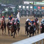 horse-racing-can-give-glimpse-into-ugly-side-of-human-condition