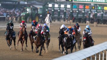 horse-racing-can-give-glimpse-into-ugly-side-of-human-condition