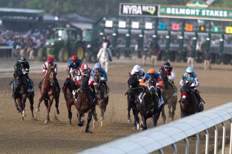 horse-racing-can-give-glimpse-into-ugly-side-of-human-condition