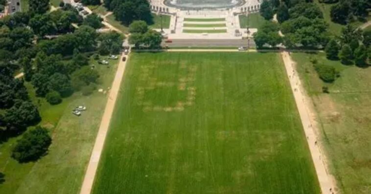 anti-trump-vandals-etch-’86-47′-threat-into-national-mall-grass-near-white-house,-federal-authorities-launch-investigation