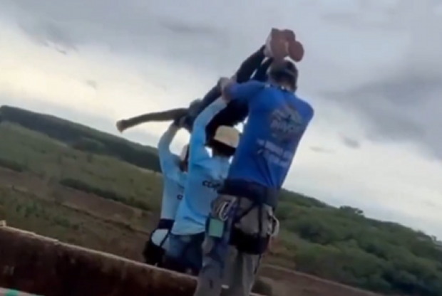 horror:-workers-throw-thrill-seeking-woman-off-bridge-in-brazil-but-forget-to-attach-the-rope-(video)