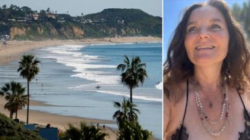 alleged-malibu-serial-squatter-featured-in-new-docuseries-after-years-of-homeowner-complaints