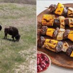 from-yellowstone-to-yosemite,-new-cookbook-reveals-recipes-inspired-by-america’s-most-iconic-parks