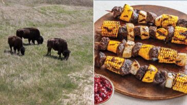 from-yellowstone-to-yosemite,-new-cookbook-reveals-recipes-inspired-by-america’s-most-iconic-parks