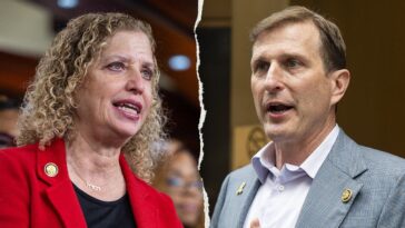 from-wasserman-schultz-to-goldman,-democratic-incumbents-are-fighting-for-survival