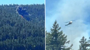 terrifying-moment-california-fighter-jet-‘pops’-then-crashes-near-mt-rainier-sparking-wildfire