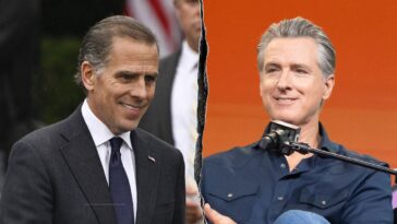 cnn-panelist-compares-hunter-biden,-gavin-newsom-mash-up-to-‘weird-teenage-mutant-ninja-turtles’