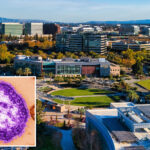 world’s-most-infectious-disease-case-found-in-california-after-they-passed-through-super-spreader-hubs