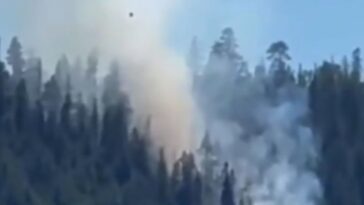 marine-corps-fighter-jet-crashes-in-washington-state,-sparks-pine-tree-wildfire,-pilot-ejects-safely-and-survives-(videos)