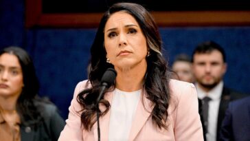 gabbard-says-declassified-biolab-records-validate-concerns-previously-dismissed-as-misinformation