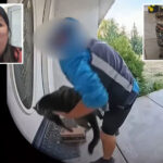 shock-twist-after-california-amazon-delivery-driver-caught-taking-family-cat-off-their-doorstep