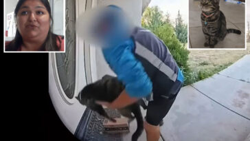 shock-twist-after-california-amazon-delivery-driver-caught-taking-family-cat-off-their-doorstep