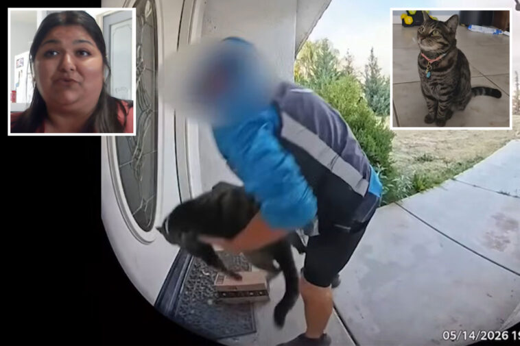 shock-twist-after-california-amazon-delivery-driver-caught-taking-family-cat-off-their-doorstep
