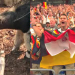 bye-bye,-oracle:-famous-anteater-taio-predicts-a-draw-between-germany-and-curacao-in-the-world-cup-–-but-the-4-time-champions-destroy-first-time-participants-by-7×1