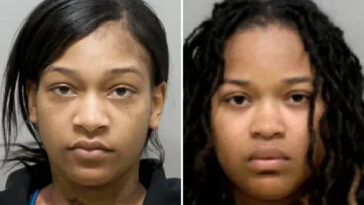 sisters,-including-one-9-months-pregnant,-allegedly-stabbed-and-hurled-hot-oil-at-detroit-restaurant-worker-over-wrong-order