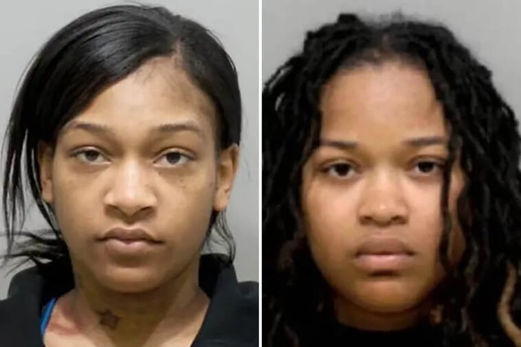 sisters,-including-one-9-months-pregnant,-allegedly-stabbed-and-hurled-hot-oil-at-detroit-restaurant-worker-over-wrong-order