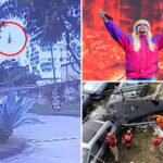 video-shows-helicopter-in-crash-that-killed-oliver-tree-plunging-to-ground-—as-one-of-6-dead-was-seen-jumping-mid-air:-‘horrifying’