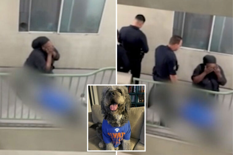 knicks-watch-party-horror-as-family-dog-is-shot-by-la-cops-—-as-harrowing-video-emerges