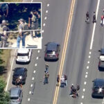 ice-agent-in-nj-hit-by-fleeing-suspect-in-van,-opens-fire