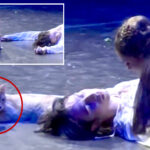 watch-a-wayward-cat-upstage-performers-in-final-scene-of-‘romeo-and-juliet’