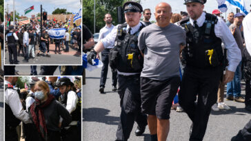 14-arrested-as-anti-israel-protesters-picket-london-synagogue