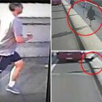 millionaire-with-ties-to-uk-royal-family-accused-of-being-notorious-jogger-seen-pushing-woman-in-front-of-bus