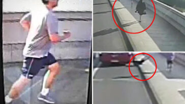 millionaire-with-ties-to-uk-royal-family-accused-of-being-notorious-jogger-seen-pushing-woman-in-front-of-bus