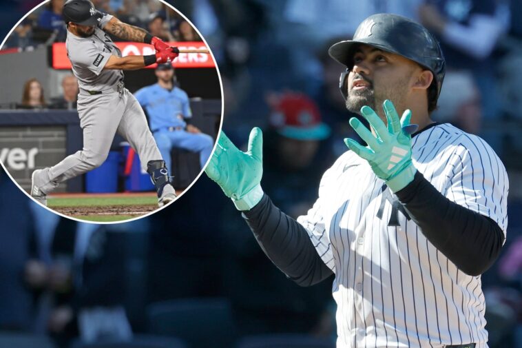 jasson-dominguez-has-the-perfect-outlook-for-his-newest-yankees-reality