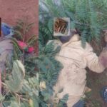 nigeria:-christian-village-attacked,-two-watchmen-killed