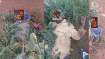 nigeria:-christian-village-attacked,-two-watchmen-killed