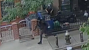 2-young-men-shot-as-brooklyn-puerto-rican-day-parade-wraps-up:-cops