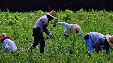 three-defendants-sentenced-for-‘modern-day-slavery’-scheme-trafficking-foreign-workers-into-us.
