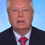 watch:-lindsey-graham-whines-about-josh-hokit-calling-michelle-obama-a-man-–-“not-the-spirit-of-sports…-idiot”