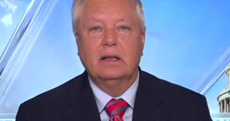 watch:-lindsey-graham-whines-about-josh-hokit-calling-michelle-obama-a-man-–-“not-the-spirit-of-sports…-idiot”