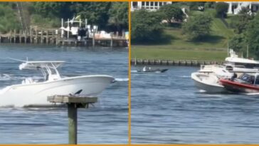 heroic-us.-coast-guard-crew-jumps-aboard-runaway-boat-in-maryland-after-operator-falls-overboard
