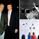jeffrey-epstein-was-obsessed-with-trying-to-take-down-trump-before-suicide,-report-says