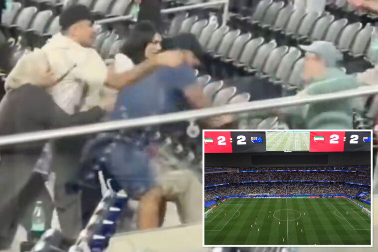 moment-vicious-brawl-breaks-out-in-stands-of-iran-world-cup-match