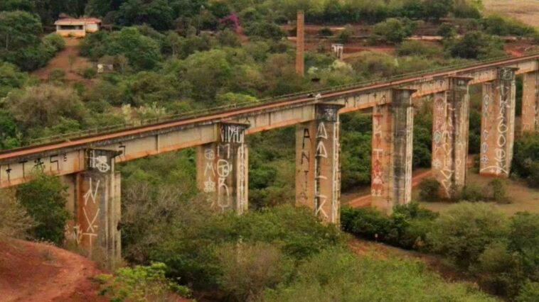 nurse-reveals-bungee-jumper-who-plunged-without-safety-cord-was-still-alive