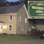 nearly-30-animals,-seven-dead,-found-in-‘small-town’-connecticut-home,-leaving-locals-rattled