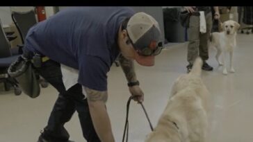 exclusive:-breitbart-news-gets-sneak-peak-into-atf-canine-training