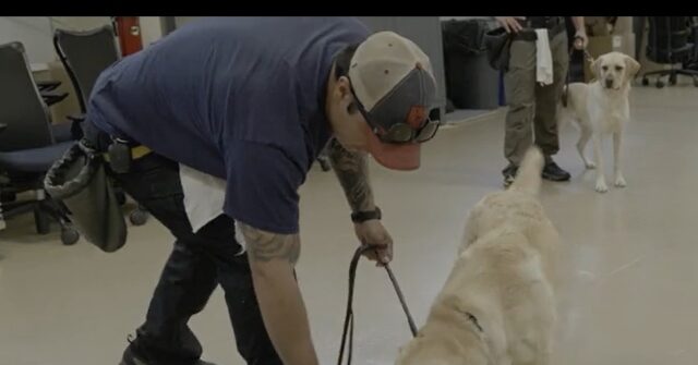 exclusive:-breitbart-news-gets-sneak-peak-into-atf-canine-training