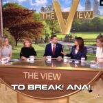 whoopi-goldberg-finally-snaps-at-ana-navarro-after-constantly-interrupting-vice-president-jd-vance-on-‘the-view’-—-“ana,-god,-please!…-don’t-do-that”