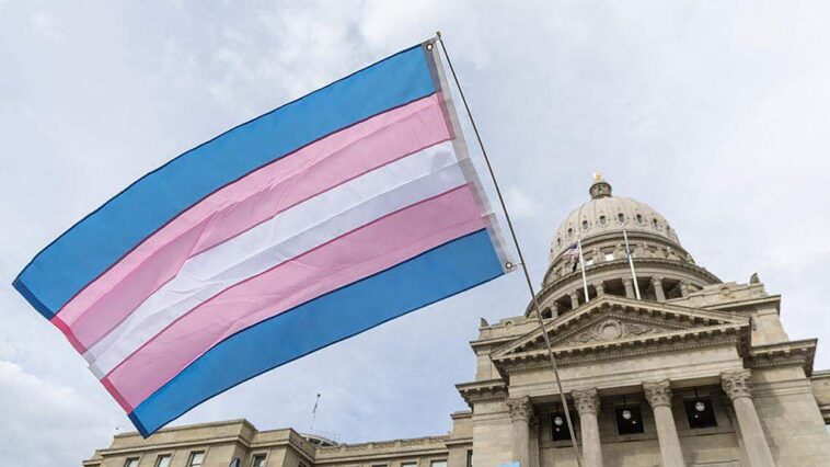 the-zombie-study-indulging-mental-illness-and-hiding-the-truth-about-transgender-kids