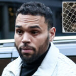 shocking-mistrial-declared-in-$90m-chris-brown-lawsuit-involving-dog-‘hades’