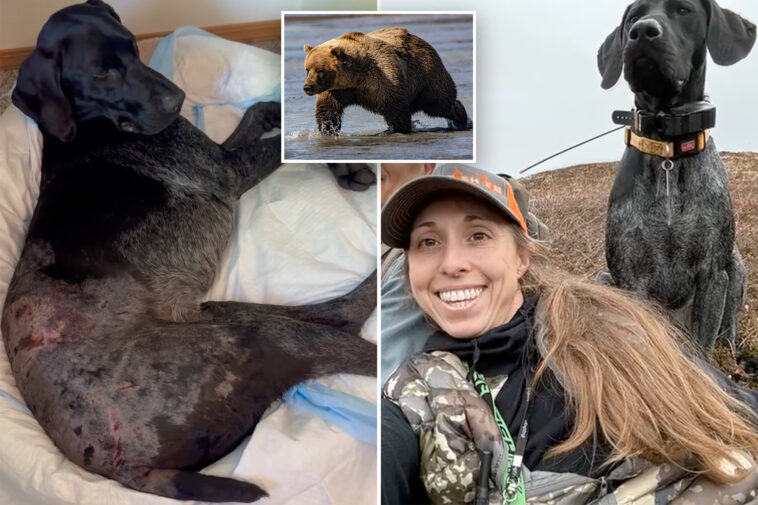 alaska-woman-uses-weapon-to-survive-terrifying-bear-attack-after-predator-mauls-pooch:-‘i-thought-i-was-dead’